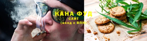 PSILOCYBIN Алагир
