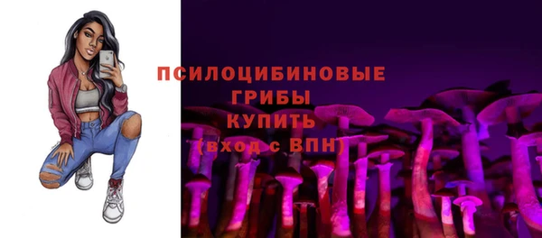 соль ск Вязники