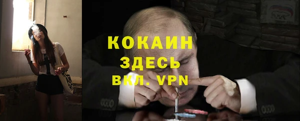твердый Михайловск