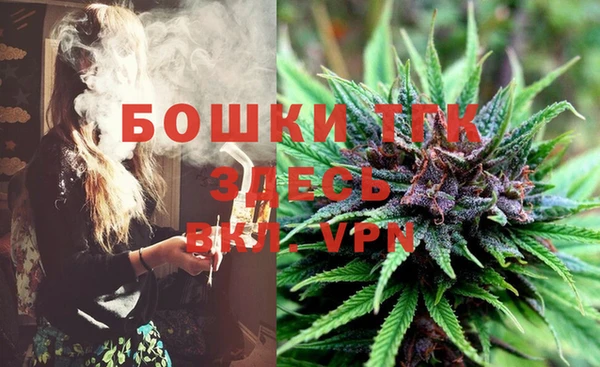 PSILOCYBIN Алагир